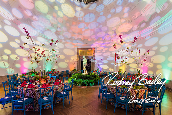 4-25-14 CORCORAN BALL DECOR_Rodney Bailey Photography_EventPhotojournalism_0624