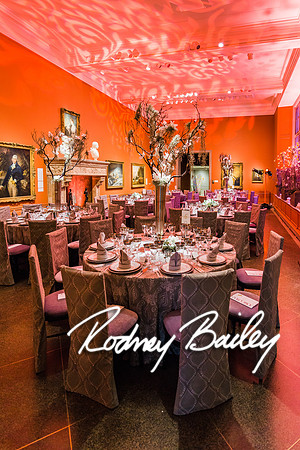 4-25-14 CORCORAN BALL DECOR_Rodney Bailey Photography_EventPhotojournalism_0585
