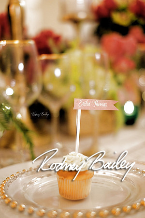 0122_3-1-15_ C a p i t a l   B r i d a l   A f f a i r  &  F a s h i o n   S h o w_Rodney Bailey Wedding Photography Washington DC_Mayflower Hotel DC