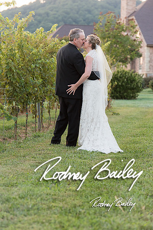 Virginia-Winery-Vineyard-Weddings-Ceremony-Reception-VA-Photographer_0030