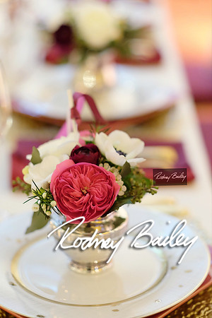 0093_3-1-15_ C a p i t a l   B r i d a l   A f f a i r  &  F a s h i o n   S h o w_Rodney Bailey Wedding Photography Washington DC_Mayflower Hotel DC