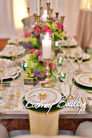 0112_3-1-15_ C a p i t a l   B r i d a l   A f f a i r  &  F a s h i o n   S h o w_Rodney Bailey Wedding Photography Washington DC_Mayflower Hotel DC