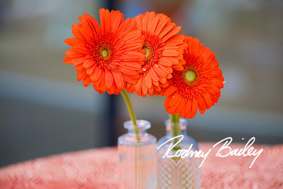 0072__6-21-25_Mark-Schramek-Kevin-Tarpey-wedding-HQO-events-DC-Rodney-Bailey-Photography