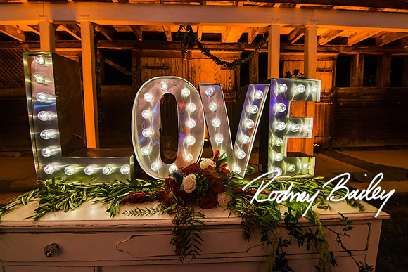 0191_9-12-14 Rockland Esates_Maryland Wedding Veue_Rodney Bailey Photography