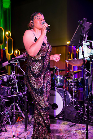 National-Museum-of-African-American-Museum-Washington-DC-event-photos-Rodney-Bailey-Photography__0206