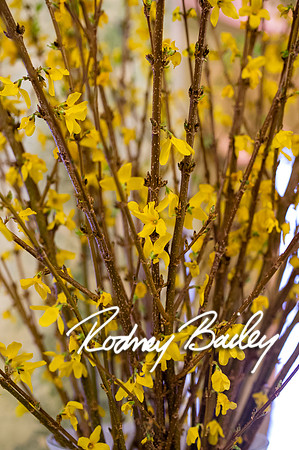 4-5-14 WILLARD DECOR_RODNEY BAILEY PHOTOGRAPHY_050