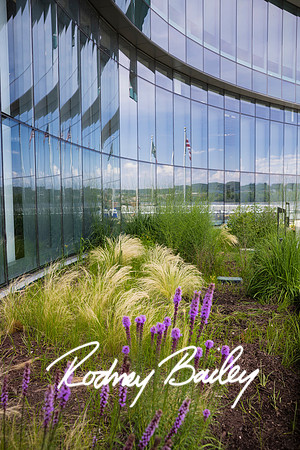 0034__6-21-25_Mark-Schramek-Kevin-Tarpey-wedding-HQO-events-DC-Rodney-Bailey-Photography