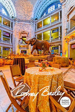Host-Your-Event-at-the-Smithsonian-Washington-DC-event-photographers-Event-Photojournalism-photography__0044