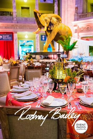 Host-Your-Event-at-the-Smithsonian-Washington-DC-event-photographers-Event-Photojournalism-photography__0106