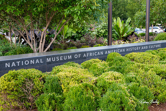 National-Museum-of-African-American-Museum-Washington-DC-event-photos-Rodney-Bailey-Photography__0064