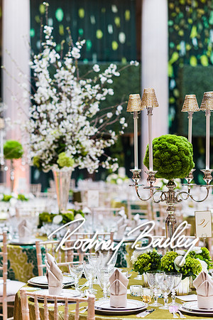 4-25-14 CORCORAN BALL DECOR_Rodney Bailey Photography_EventPhotojournalism_0241