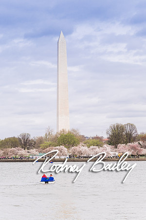0011_3-31-16_Milano-Family--Wedding-Event-Photography-Rodney-Bailey-Washington-DC