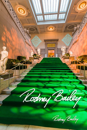 4-25-14 CORCORAN BALL DECOR_Rodney Bailey Photography_EventPhotojournalism_0681