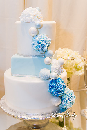 0287__3-1-15_Capital Bridal Affair and Fashion Show_The Mayflower Renaissance_Washington DC_Wedding Photography by Rodney Bailey