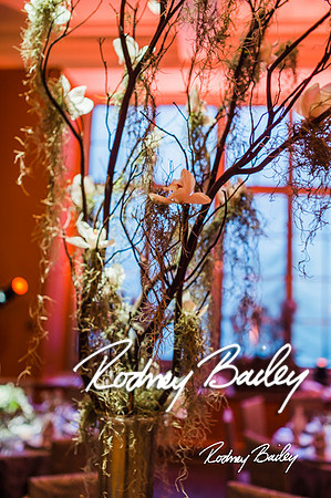 4-25-14 CORCORAN BALL DECOR_Rodney Bailey Photography_EventPhotojournalism_0426