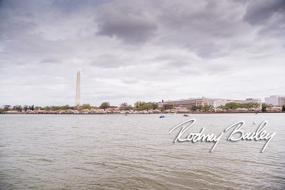 0115_3-31-16_Milano-Family--Wedding-Event-Photography-Rodney-Bailey-Washington-DC