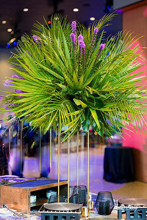 National-Museum-of-African-American-Museum-Washington-DC-event-photos-Rodney-Bailey-Photography__0083