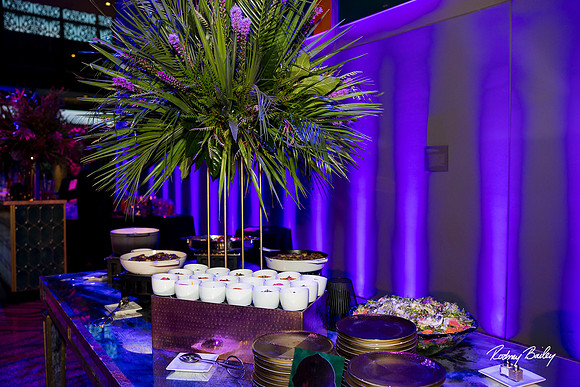 National-Museum-of-African-American-Museum-Washington-DC-event-photos-Rodney-Bailey-Photography__0187