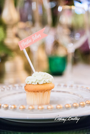 0015__3-1-15_Capital Bridal Affair and Fashion Show_The Mayflower Renaissance_Washington DC_Wedding Photography by Rodney Bailey