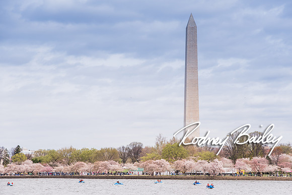 0100_3-31-16_Milano-Family--Wedding-Event-Photography-Rodney-Bailey-Washington-DC