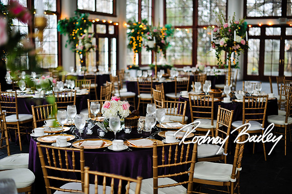 Raspberry Plain Wedding Photographer_Leesburg Virginia