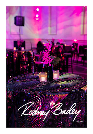 0832_1-11-25_Paul-50th-Birthday-Celebration-Renwick-Gallery-Washington-DC-Rodney-Bailey-Photography