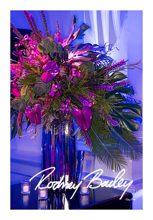 0794_1-11-25_Paul-50th-Birthday-Celebration-Renwick-Gallery-Washington-DC-Rodney-Bailey-Photography