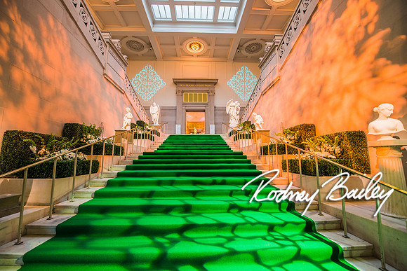 4-25-14 CORCORAN BALL DECOR_Rodney Bailey Photography_EventPhotojournalism_0677