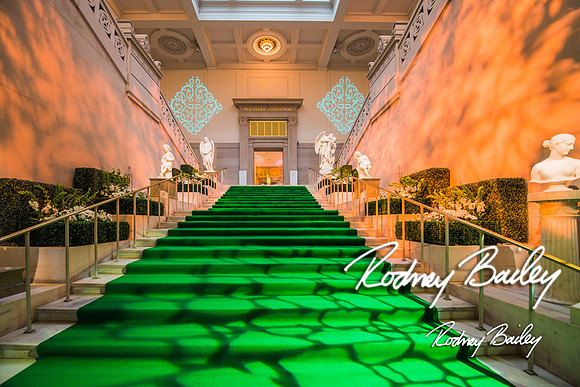 4-25-14 CORCORAN BALL DECOR_Rodney Bailey Photography_EventPhotojournalism_0678