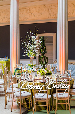 4-25-14 CORCORAN BALL DECOR_Rodney Bailey Photography_EventPhotojournalism_0301