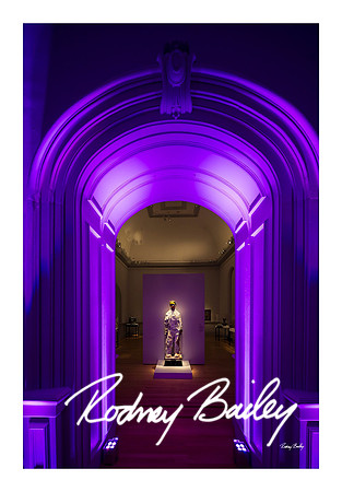 0922_1-11-25_Paul-50th-Birthday-Celebration-Renwick-Gallery-Washington-DC-Rodney-Bailey-Photography