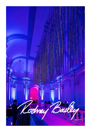1047_1-11-25_Paul-50th-Birthday-Celebration-Renwick-Gallery-Washington-DC-Rodney-Bailey-Photography