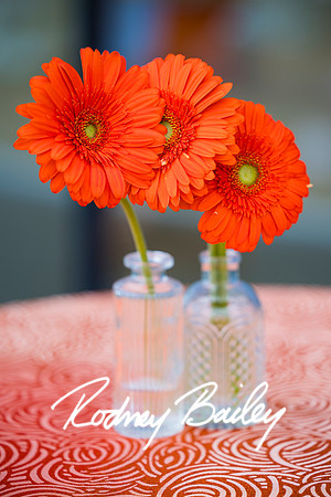 0073__6-21-25_Mark-Schramek-Kevin-Tarpey-wedding-HQO-events-DC-Rodney-Bailey-Photography