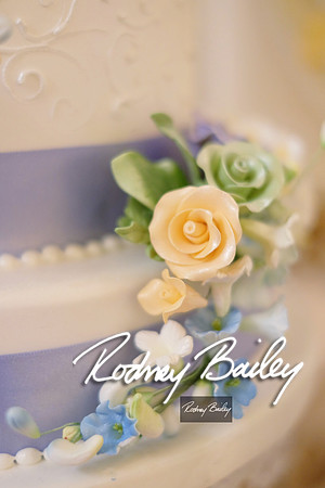 0117_3-1-15_ C a p i t a l   B r i d a l   A f f a i r  &  F a s h i o n   S h o w_Rodney Bailey Wedding Photography Washington DC_Mayflower Hotel DC