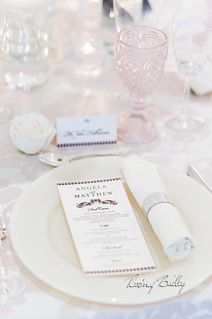 0146__3-1-15_Capital Bridal Affair and Fashion Show_The Mayflower Renaissance_Washington DC_Wedding Photography by Rodney Bailey