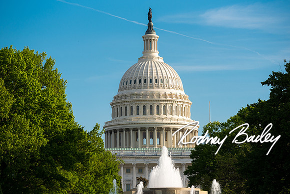 0006__4-27-17-brainard-family-senate-park-rodney-bailey-photographers-dc