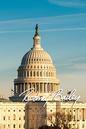 206__3-11-17 Capital One