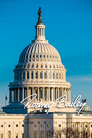 207__3-11-17 Capital One