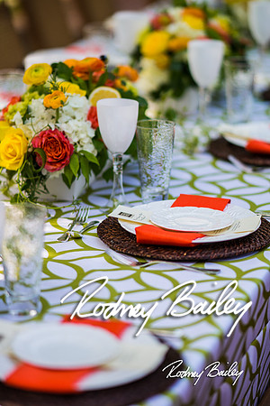 5-20-14 NACE MAY MEETING-GUNSTON HALL_Rodney Bailey Photography_0099