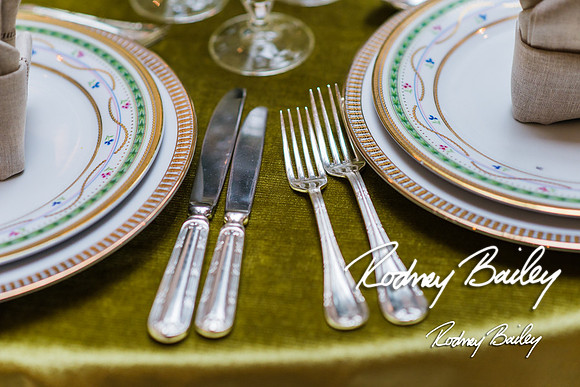 4-25-14 CORCORAN BALL DECOR_Rodney Bailey Photography_EventPhotojournalism_0511