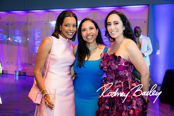0318__8-2-25_Damien-Dwin-Celebration-National-Museum-of-African-American-Museum-Washington-DC-event-Rodney-Bailey-Photography