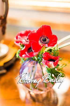 0048__10-28-14 _Bergerons Flowers_Rodney Bailey Photography