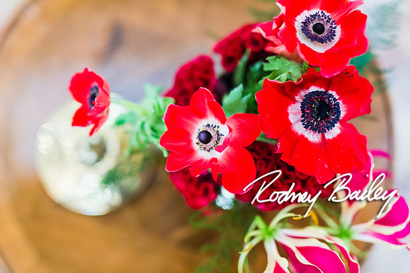 0063__10-28-14 _Bergerons Flowers_Rodney Bailey Photography