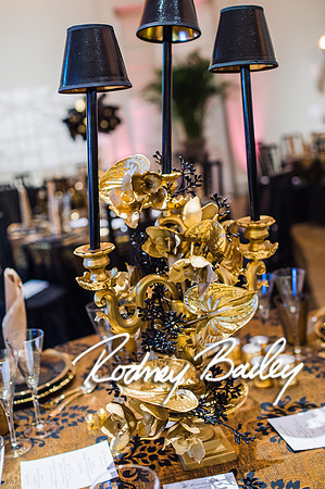 4-25-14 CORCORAN BALL DECOR_Rodney Bailey Photography_EventPhotojournalism_0645