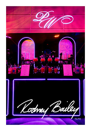 0860_1-11-25_Paul-50th-Birthday-Celebration-Renwick-Gallery-Washington-DC-Rodney-Bailey-Photography