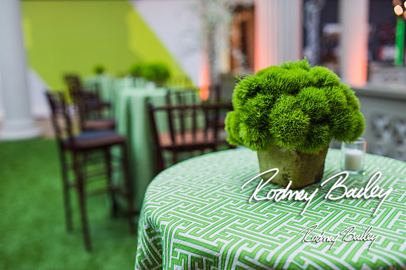 4-25-14 CORCORAN BALL DECOR_Rodney Bailey Photography_EventPhotojournalism_0464
