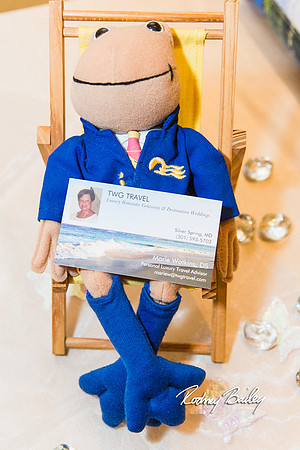 0116__3-1-15_Capital Bridal Affair and Fashion Show_The Mayflower Renaissance_Washington DC_Wedding Photography by Rodney Bailey