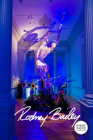 Host-Your-Event-at-the-Smithsonian-Washington-DC-event-photographers-Event-Photojournalism-photography__0048