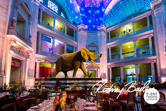 Host-Your-Event-at-the-Smithsonian-Washington-DC-event-photographers-Event-Photojournalism-photography__0100