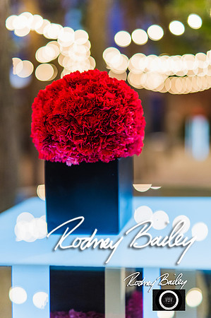 0053__10-17-14 MERIDIAN BALL_RODNEY BAILEY PHOTOGRAPHY_Meridian House Washington DC